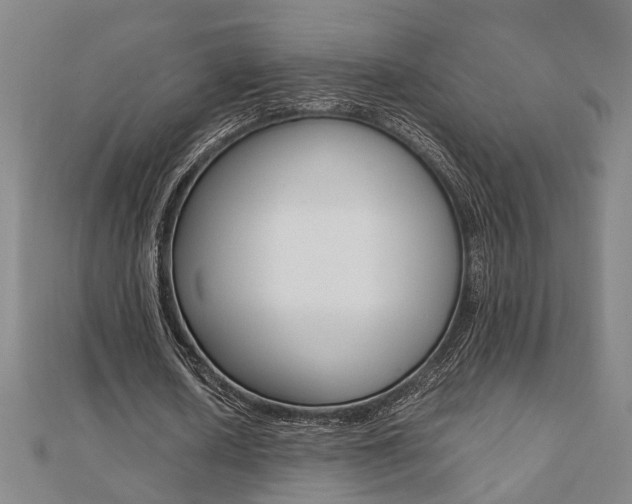 X0000112050626200908040950