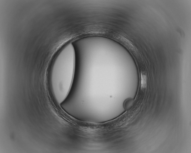 X0000112050627200908040950