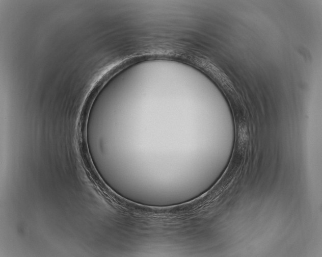 X0000112050628200908040950