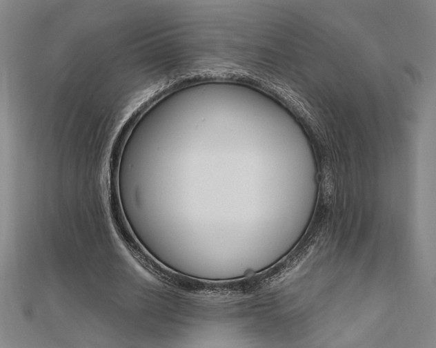 X0000112050630200908040950