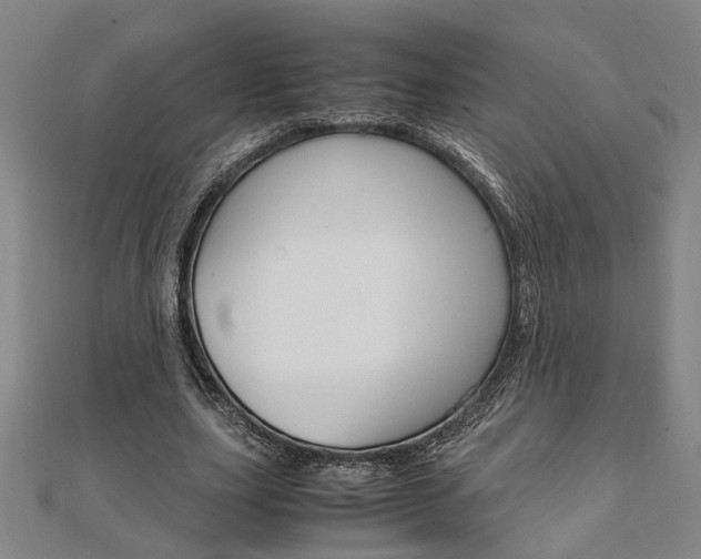 X0000112050631200908040950