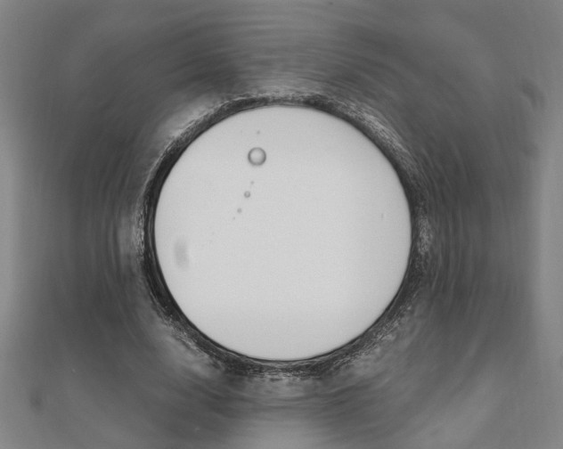 X0000112050632200908040950