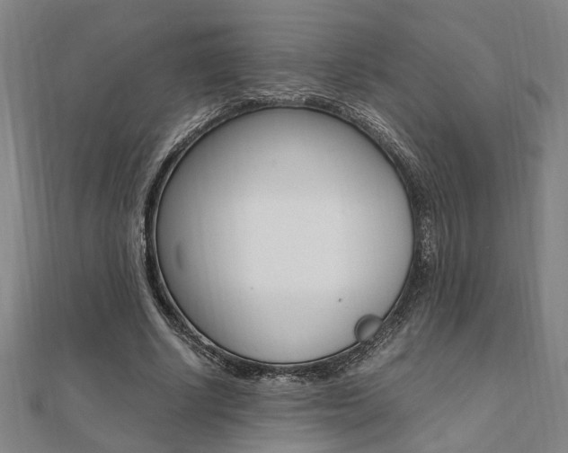 X0000112050634200908040950