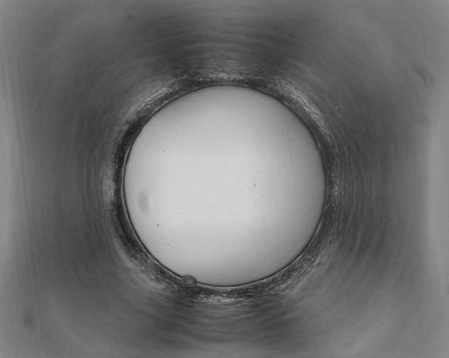 X0000112050635200908040950