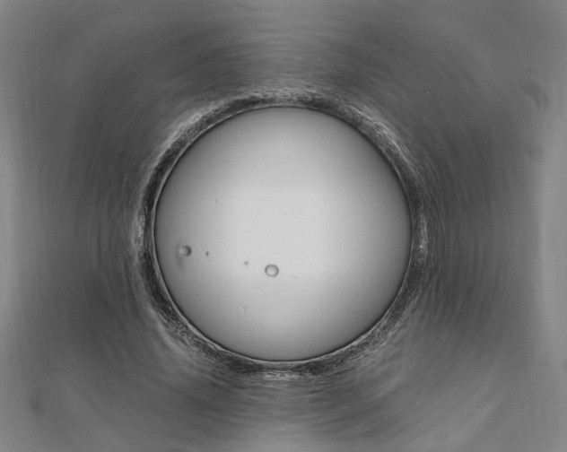 X0000112050636200908040950