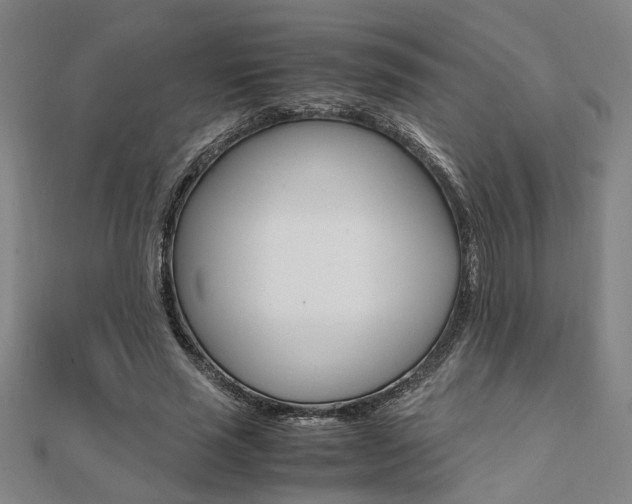 X0000112050637200908040950