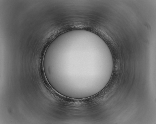 X0000112050639200908040950
