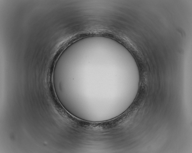 X0000112050640200908040950