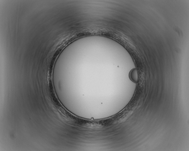X0000112050644200908040950