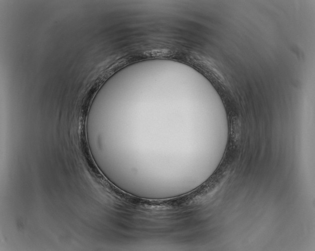 X0000112050645200908040950