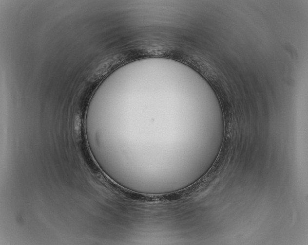 X0000112050646200908040950