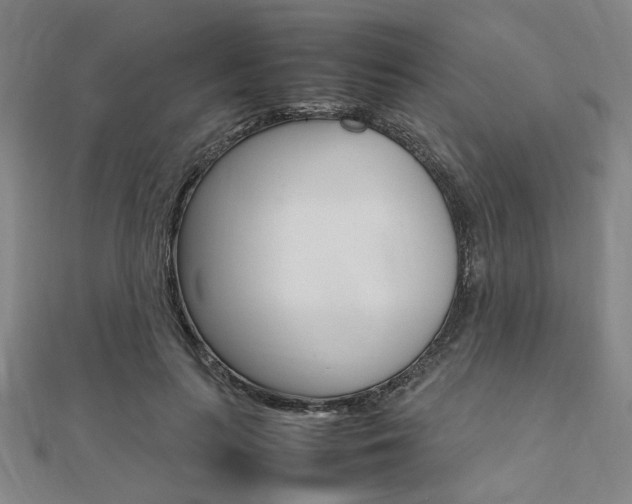 X0000112050647200908040951