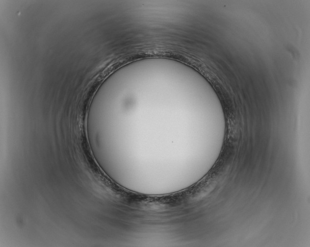 X0000112050648200908040951