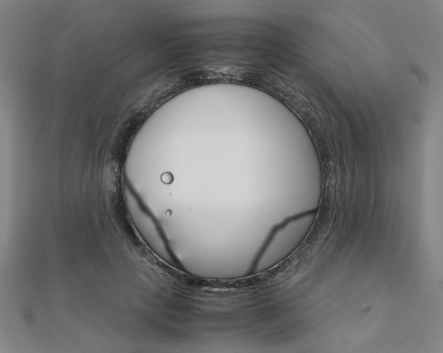 X0000112050649200908040951