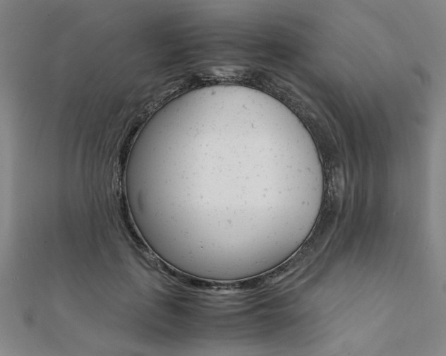 X0000112050651200908040951