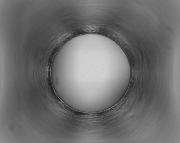 X0000112050652200908040951