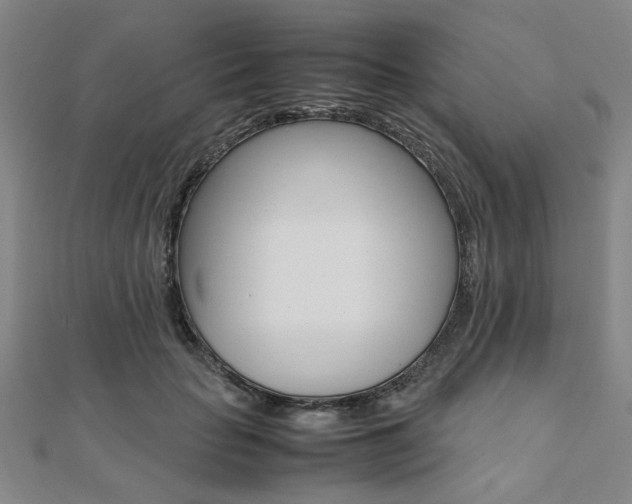 X0000112050653200908040951