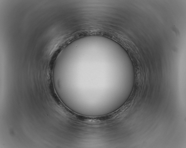 X0000112050654200908040951