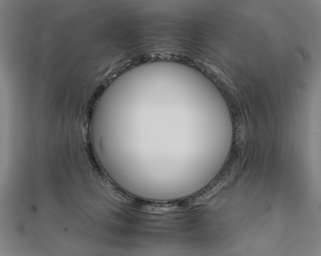 X0000112050661200908040951