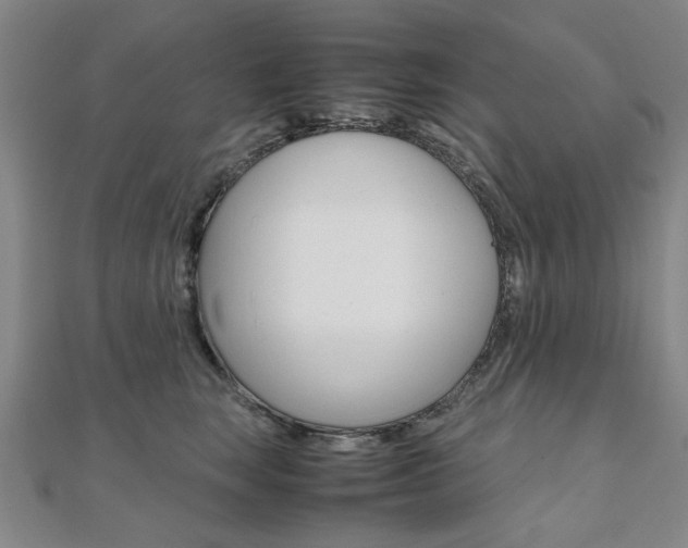 X0000112050663200908040951