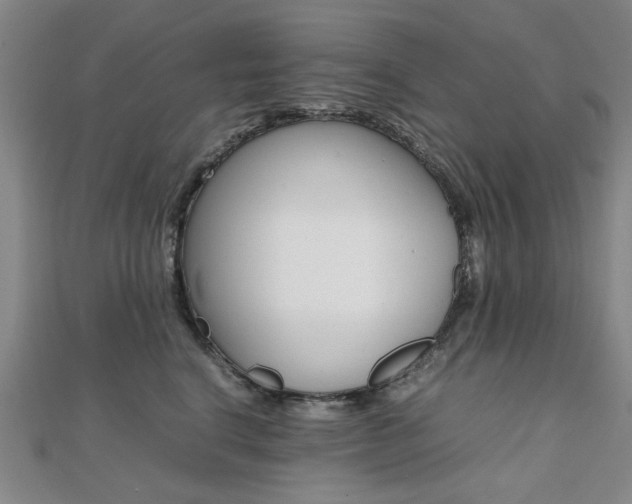 X0000112050664200908040951