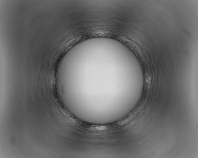 X0000112050665200908040951