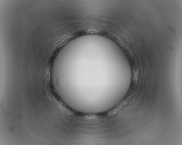 X0000112050666200908040951