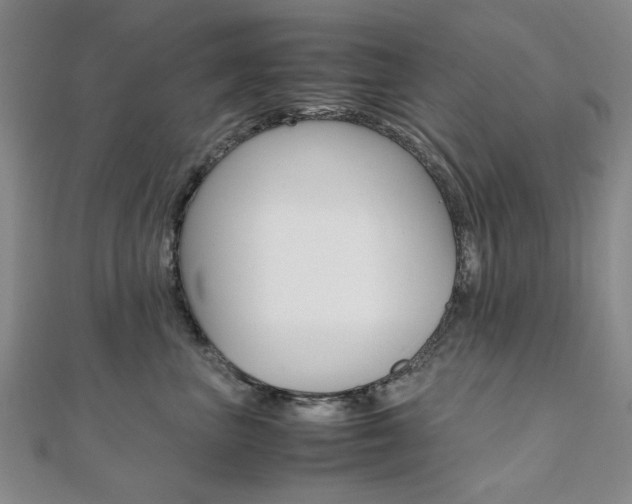 X0000112050667200908040951