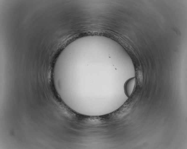 X0000112050668200908040951