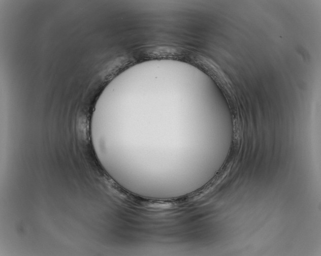 X0000112050669200908040951