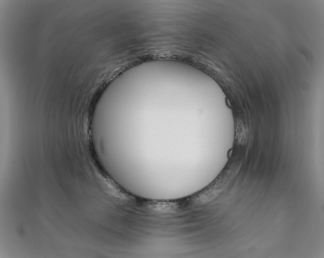 X0000112050670200908040951