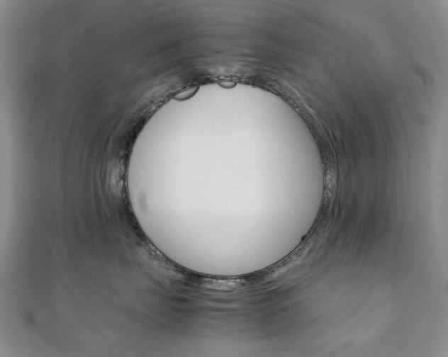 X0000112050671200908040951