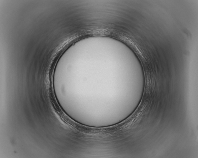 X0000112050674200908040950