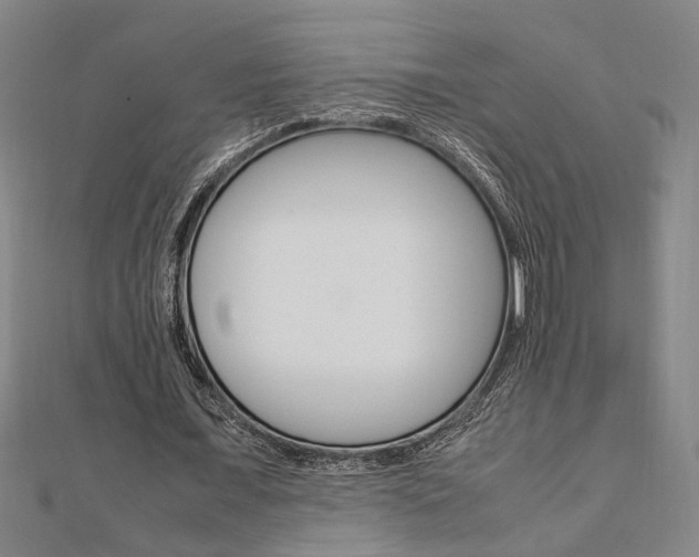 X0000112050675200908040950