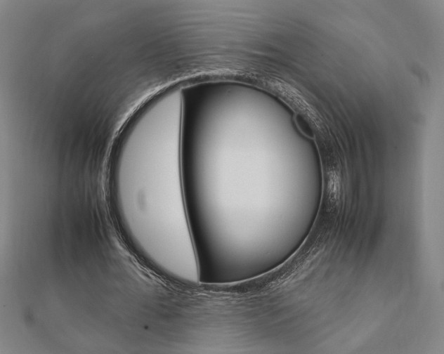 X0000112050676200908040950
