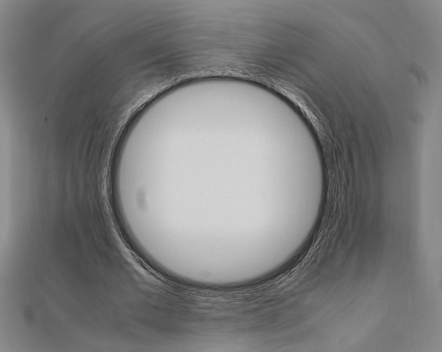 X0000112050677200908040950