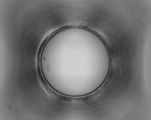 X0000112050678200908040950