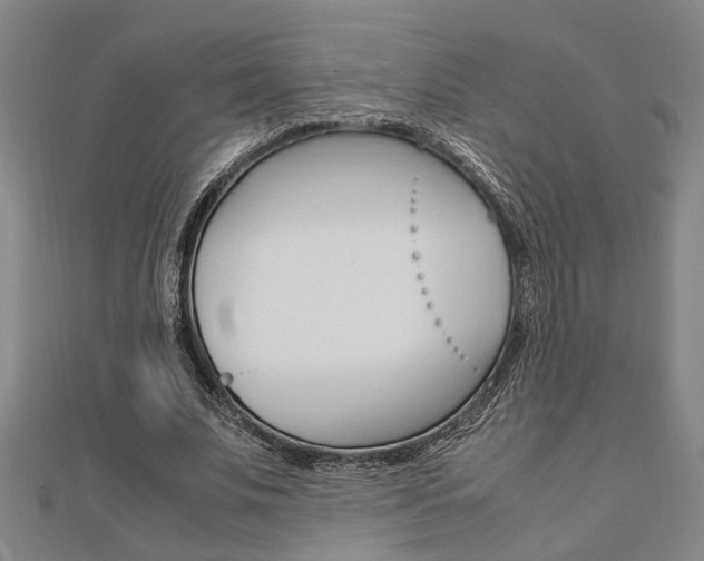 X0000112050679200908040950