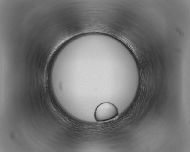 X0000112050680200908040950