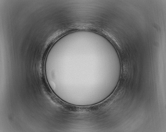 X0000112050682200908040950