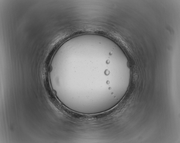 X0000112050683200908040950