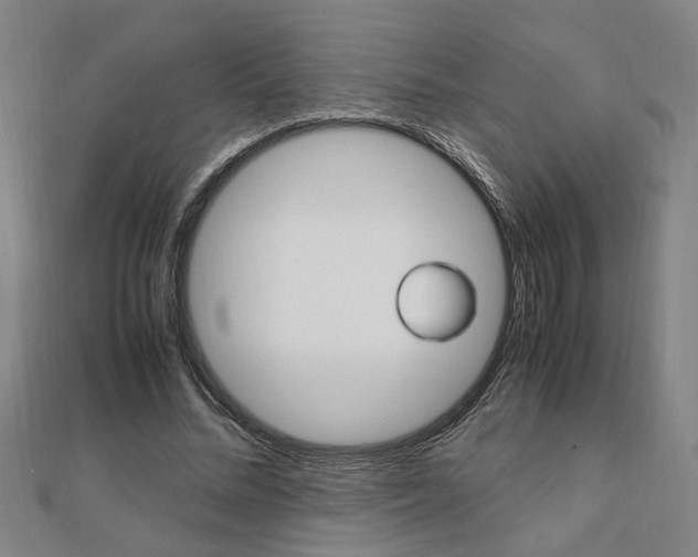 X0000112050684200908040950