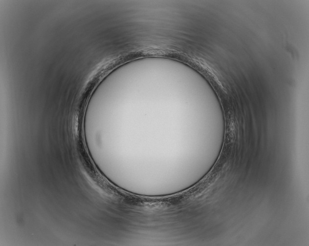 X0000112050686200908040950