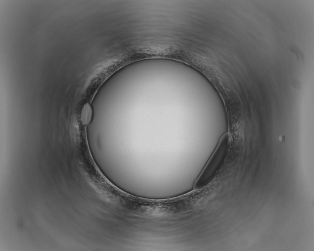 X0000112050688200908040950