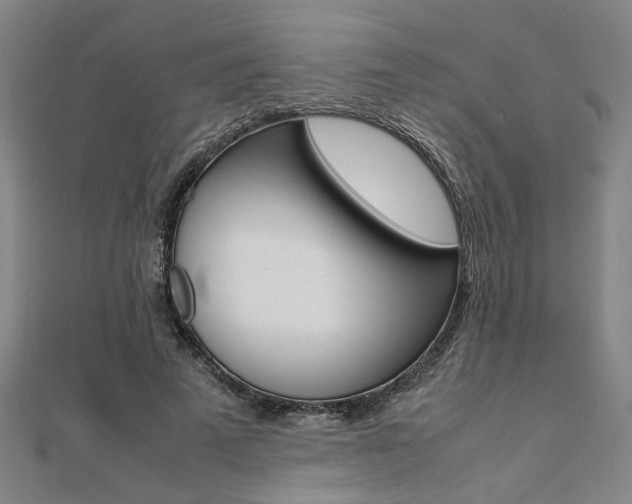 X0000112050689200908040950