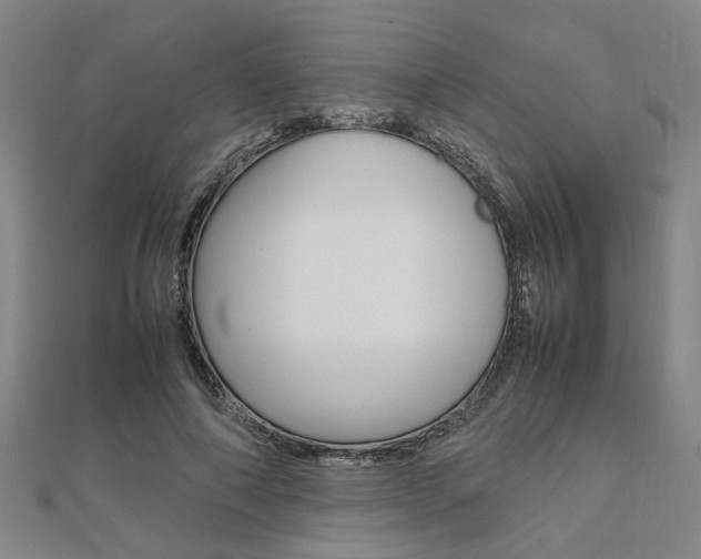 X0000112050690200908040950