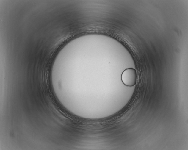 X0000112050692200908040950