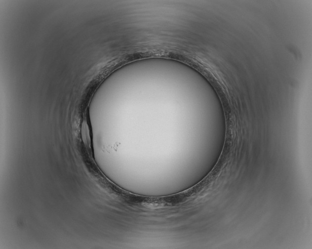 X0000112050693200908040950