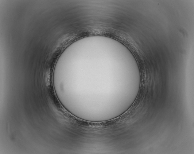 X0000112050694200908040950