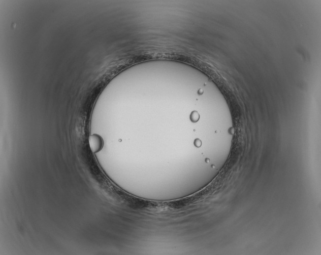 X0000112050695200908040950